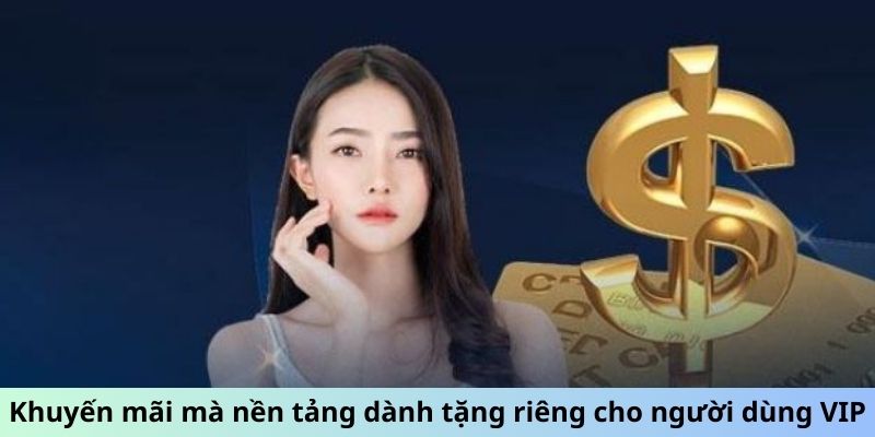 Khuyến mãi mà nền tảng dành tặng riêng cho người dùng VIP