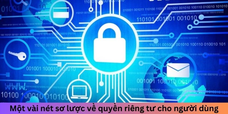 Một vài nét sơ lược về quyền riêng tư cho người dùng