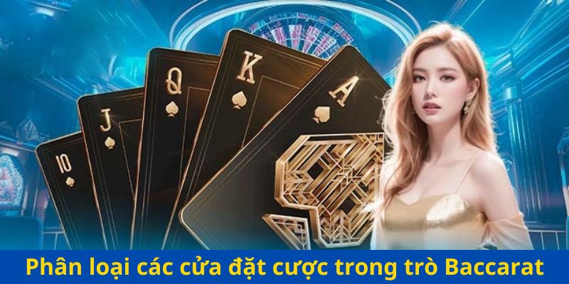 Phân loại các cửa đặt cược trong trò Baccarat