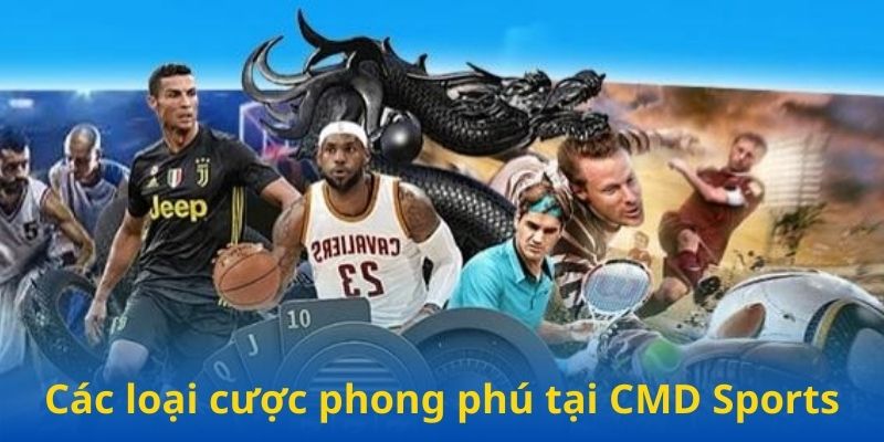 Các loại cược phong phú tại CMD Sports