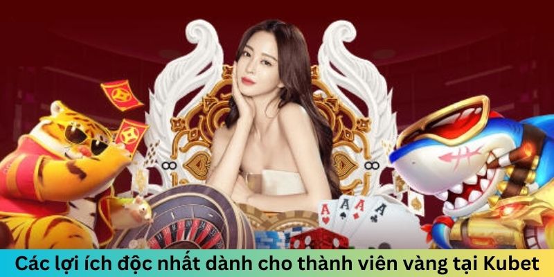 Các lợi ích độc nhất dành cho thành viên vàng tại Kubet