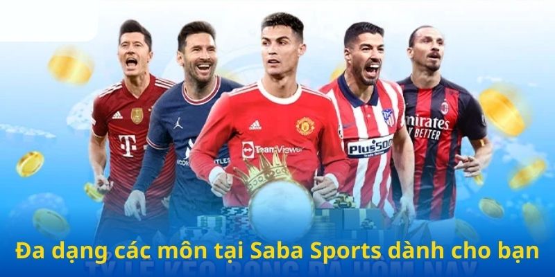 Đa dạng các môn tại Saba Sports dành cho bạn