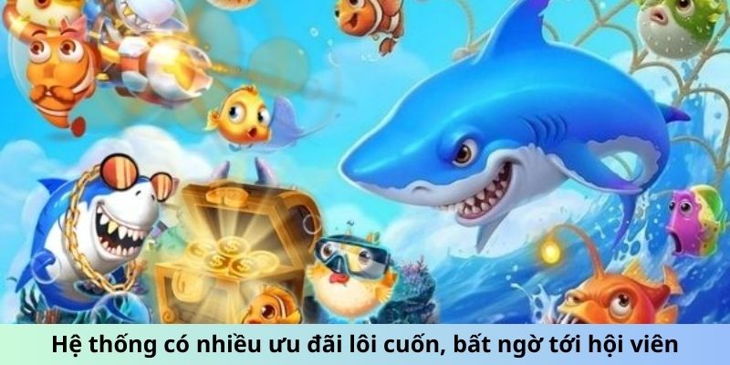 Hệ thống có nhiều ưu đãi lôi cuốn, bất ngờ tới hội viên