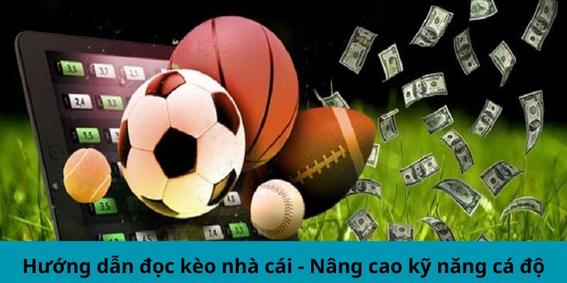 Hướng dẫn đọc kèo bóng đá tại kubet dành cho người mới