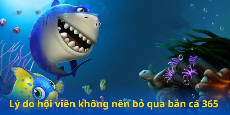 Lý do hội viên không nên bỏ qua bắn cá 365 