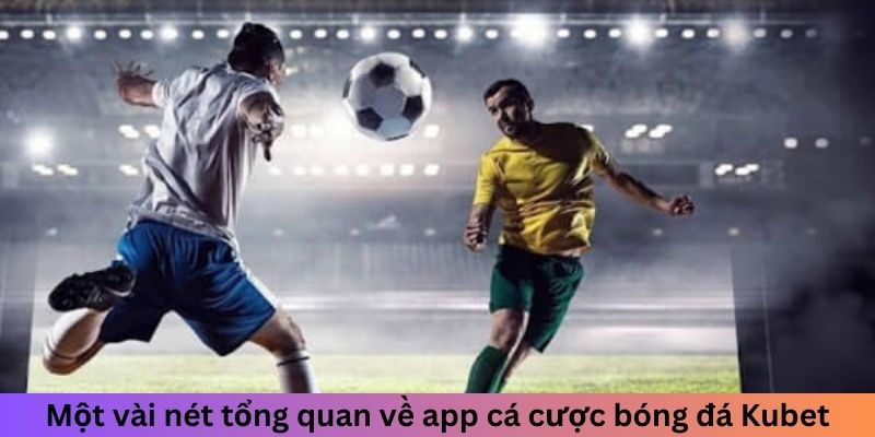 Một vài nét tổng quan về app cá cược bóng đá Kubet