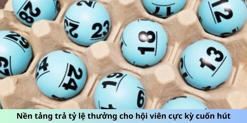 Nền tảng trả tỷ lệ thưởng cho hội viên cực kỳ cuốn hút